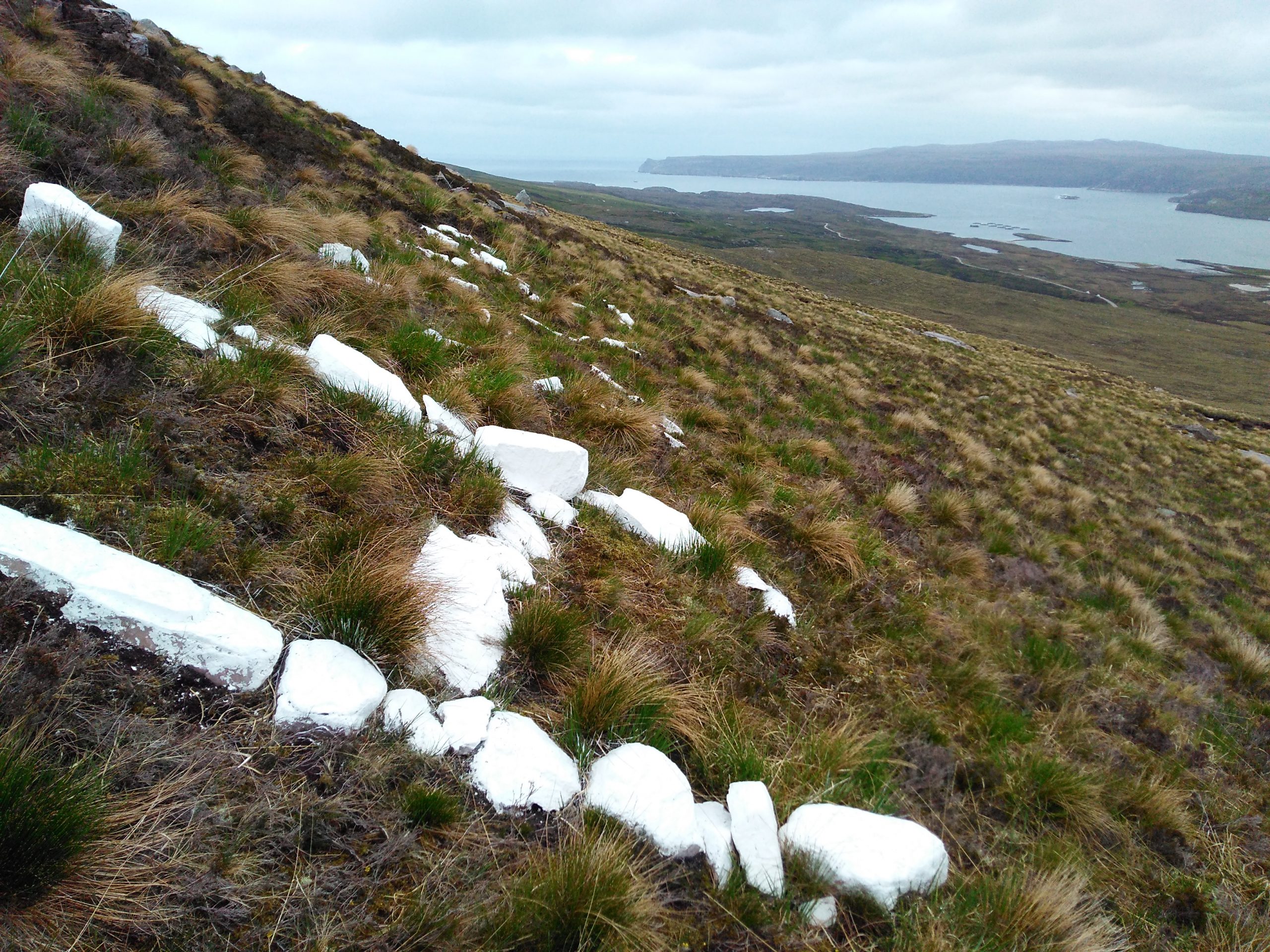 The Hood Stones